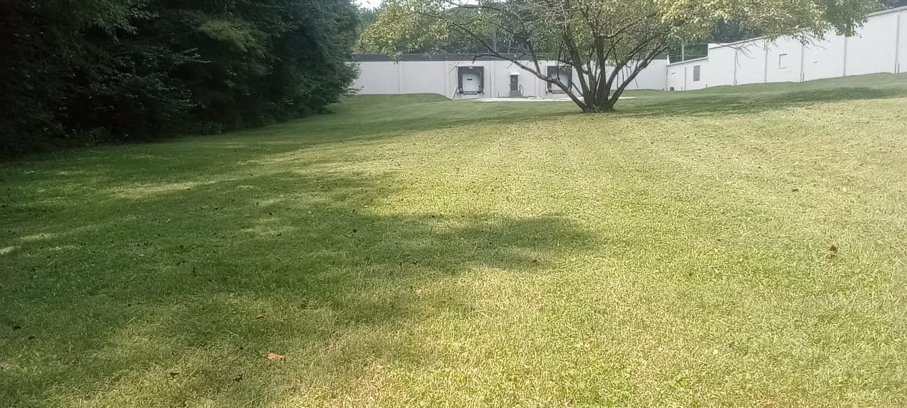 Exterior.jpeg